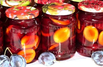 Маринованные сливы на зиму, вкусный рецепт без стерилизации