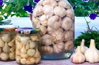 Солим и маринуем чеснок на зиму — 2 вкусных рецепта!