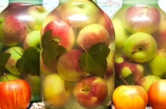 МОЧЕНЫЕ ЯБЛОКИ, простой и вкусный рецепт заготовки на зиму