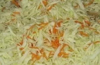 Квашеная капуста на зиму